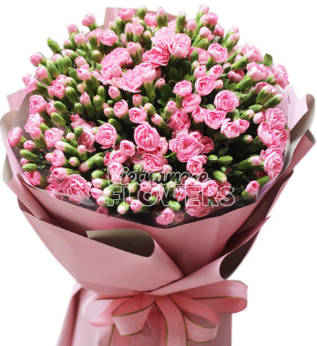 Carnation Flower 03 - Vietnamese Flowers