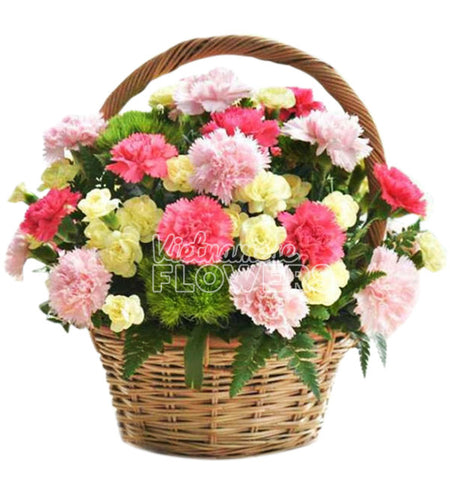 Carnation Flower 13 - Vietnamese Flowers