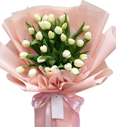 Classic Tulip Flowers Vietnam