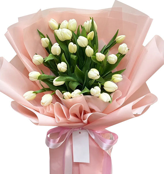 Classic Tulip Flowers Vietnam