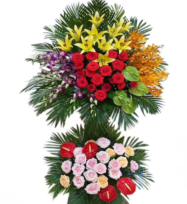 Congratulations Flowers #4 - Vietnamese Flowers