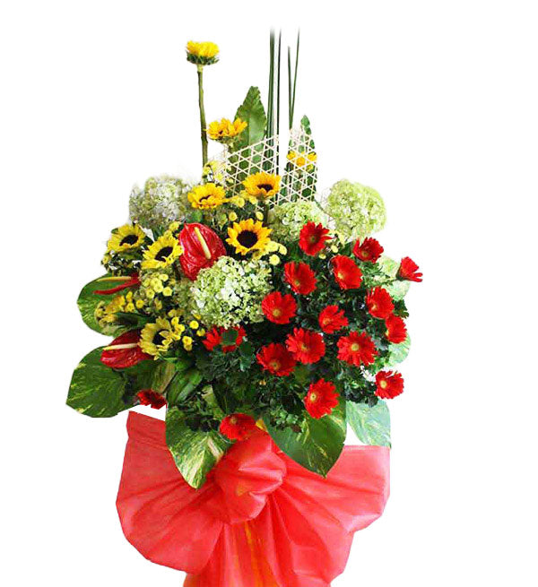 Congratulations Flowers 11 - Vietnamese Flowers
