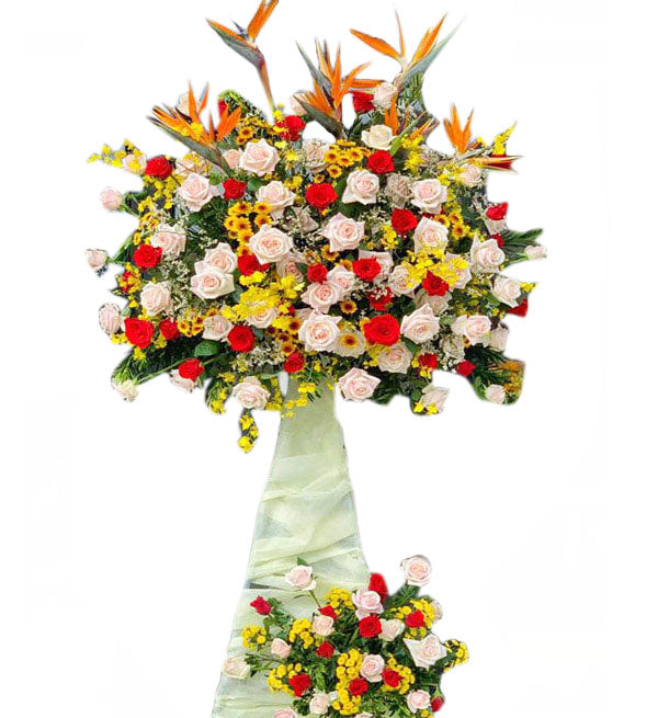 Congratulations Flowers 18 - Vietnamese Flowers