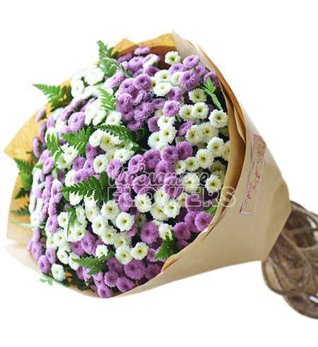 Daisy Flower 02 - Vietnamese Flowers