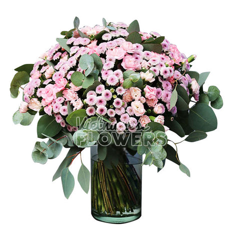 Daisy Flower 03 - Vietnamese Flowers