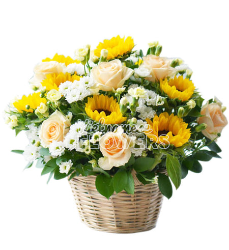 Daisy Flower 04 - Vietnamese Flowers