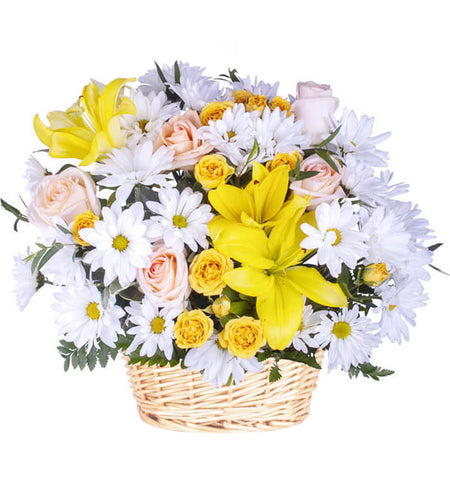 Daisy Flower 06 - Vietnamese Flowers