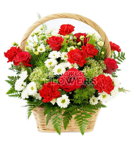 Daisy Flower 09 - Vietnamese Flowers