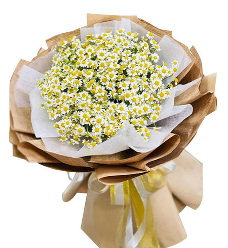 Daisy Flower 11 - Vietnamese Flowers