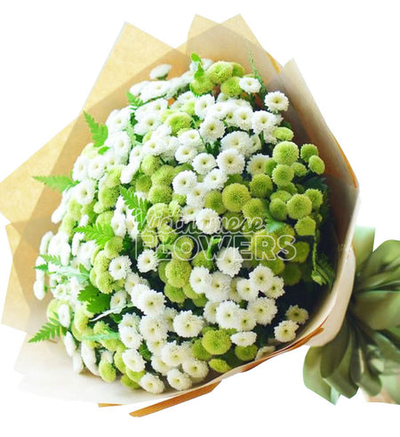 Daisy Flower 12 - Vietnamese Flowers