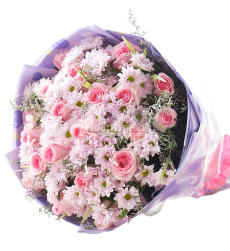 Daisy Flower 14 - Vietnamese Flowers