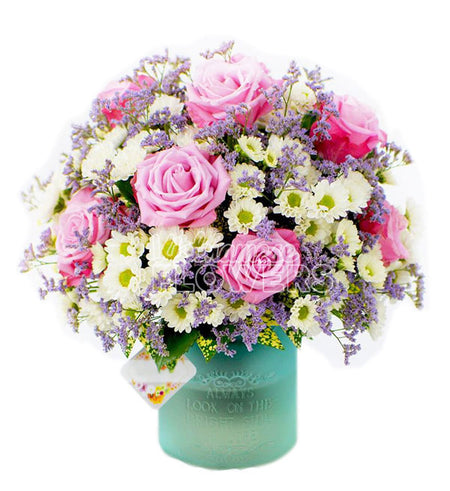 Daisy Flower 16 - Vietnamese Flowers