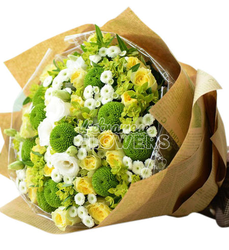 Daisy Flower 17 - Vietnamese Flowers