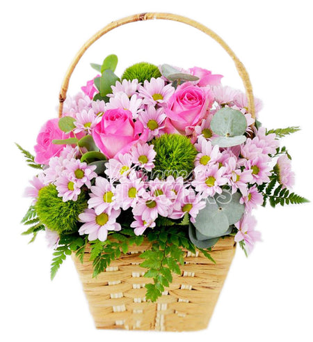 Daisy Flower 18 - Vietnamese Flowers