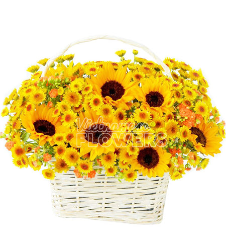 Daisy Flower 21 - Vietnamese Flowers