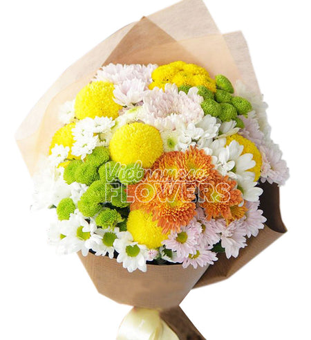 Daisy Flower 23 - Vietnamese Flowers