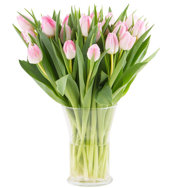 Deluxe Tulip In Vase Vietnam