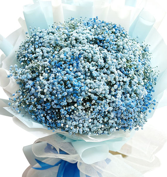 Dreamy Baby’s Breath Bouquet Vietnam