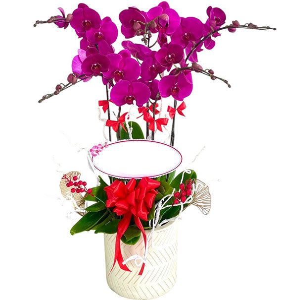 Elegant Bloom Orchid Pot Vietnamese Flowers