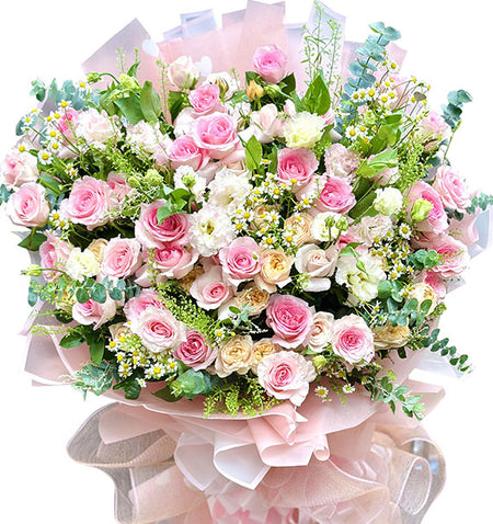 Elegant Pink Dream Roses Vietnamese Flowers