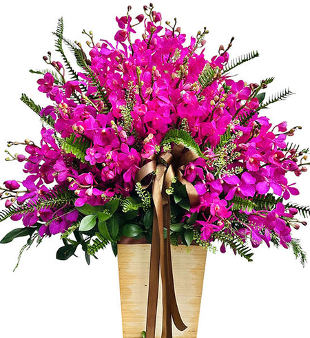 Elegant Purple Mokara Basket Vietnamese Flowers