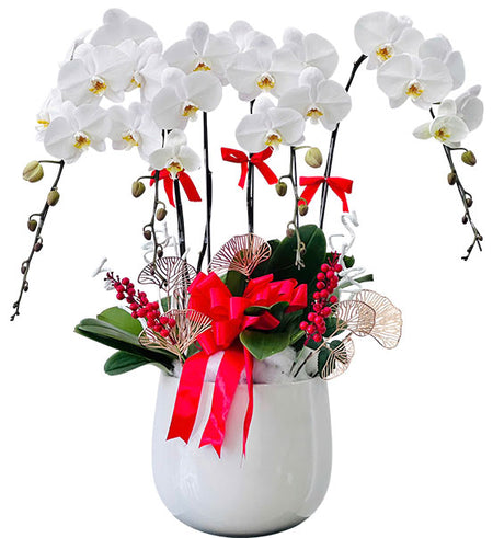 Elegant White Orchid Vase Pot Vietnamese Flowers
