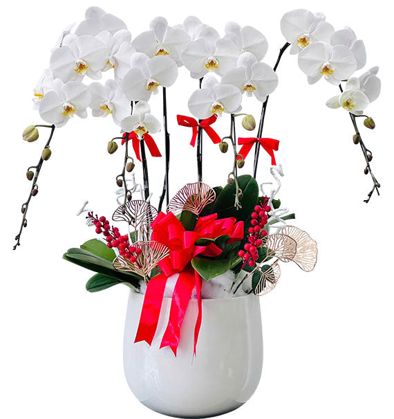 Elegant White Orchid Vase Pot Vietnamese Flowers
