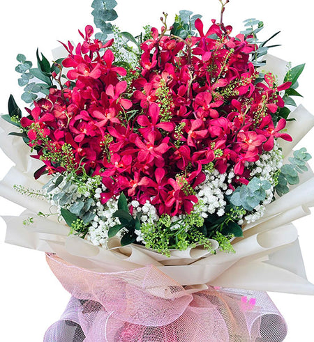 Fresh Mokara Orchid For Mom Vietnam