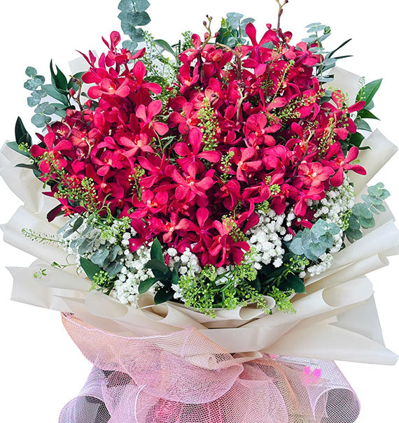 Fresh Mokara Orchid For Mom Vietnam