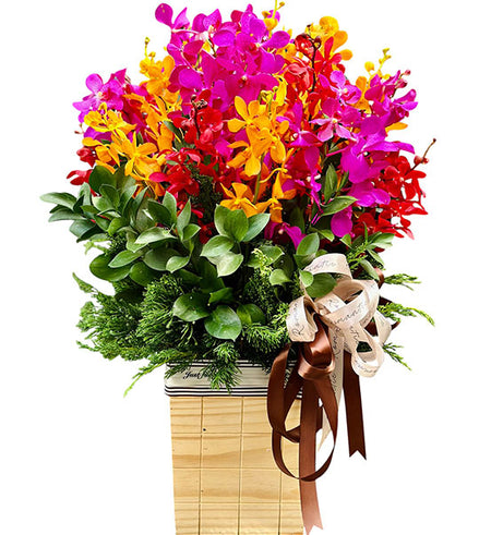 Fresh Tropical Mokara Basket For Mom Vietnam