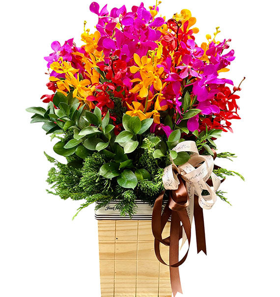 Fresh Tropical Mokara Basket For Mom Vietnam