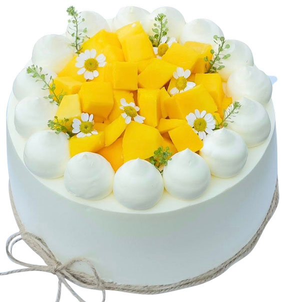 Fruity Sunshine Cake Vietnam