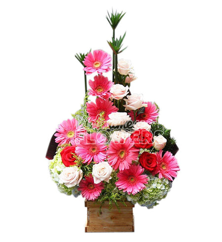 Gerbera Flowers 15 - Vietnamese Flowers