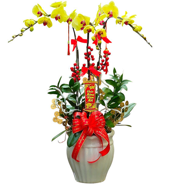 Golden Touch Orchid Arrangement Vietnamese Flowers