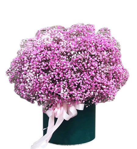 Gypsophila Baby's Breath 01 - Vietnamese Flowers