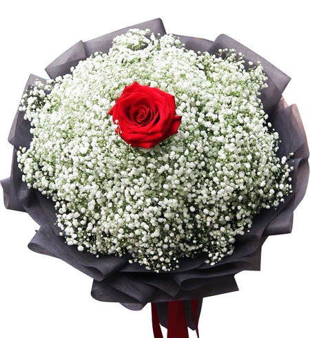 Gypsophila Baby's Breath 02 - Vietnamese Flowers