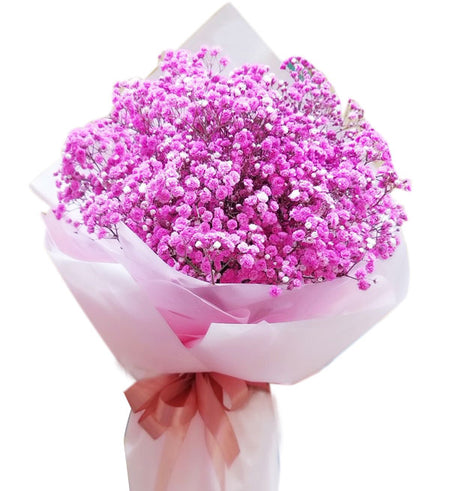 Gypsophila Baby's Breath 03 - Vietnamese Flowers