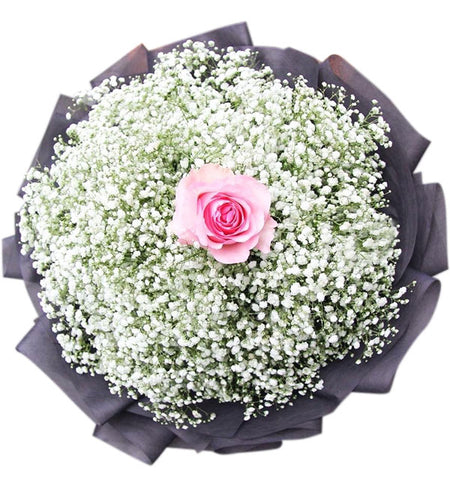 Gypsophila Baby's Breath 07 - Vietnamese Flowers