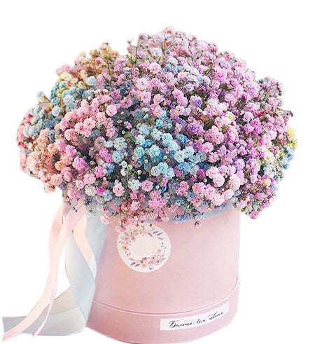 Gypsophila Baby's Breath 08 - Vietnamese Flowers