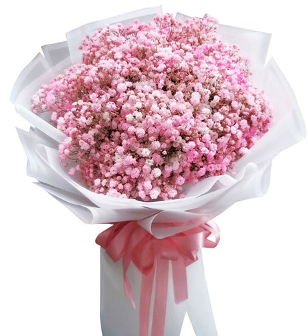 Gypsophila Baby's Breath 09 - Vietnamese Flowers