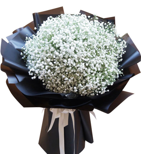 Gypsophila Baby's Breath 11 - Vietnamese Flowers