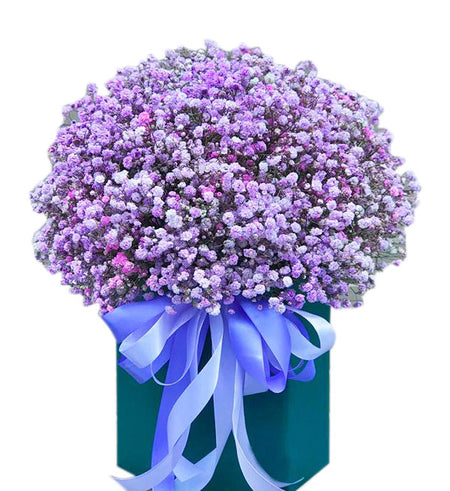 Gypsophila Baby's Breath 12 - Vietnamese Flowers