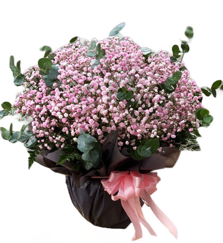 Gypsophila Baby's Breath 13 - Vietnamese Flowers