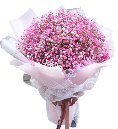 Gypsophila Baby's Breath 15 - Vietnamese Flowers