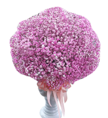 Gypsophila Baby's Breath 19 - Vietnamese Flowers