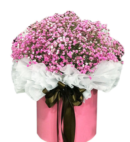 Gypsophila Baby's Breath 20 - Vietnamese Flowers