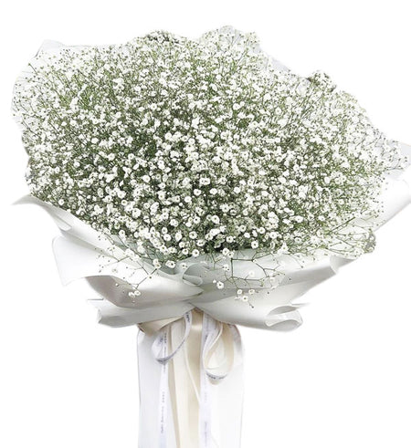 Gypsophila Baby's Breath 21 - Vietnamese Flowers