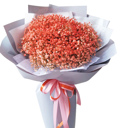 Gypsophila Baby's Breath 23 - Vietnamese Flowers