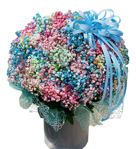 Gypsophila Baby's Breath 06 - Vietnamese Flowers