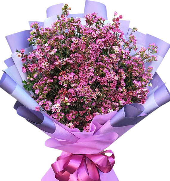 Happy Mother’s Day 10